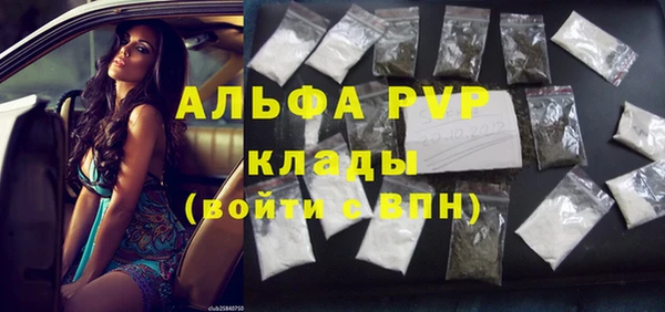 стафф Алексин