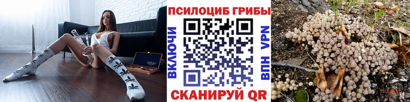 Галлюциногенные грибы мицелий  mega маркетплейс  Бирск  где можно купить  